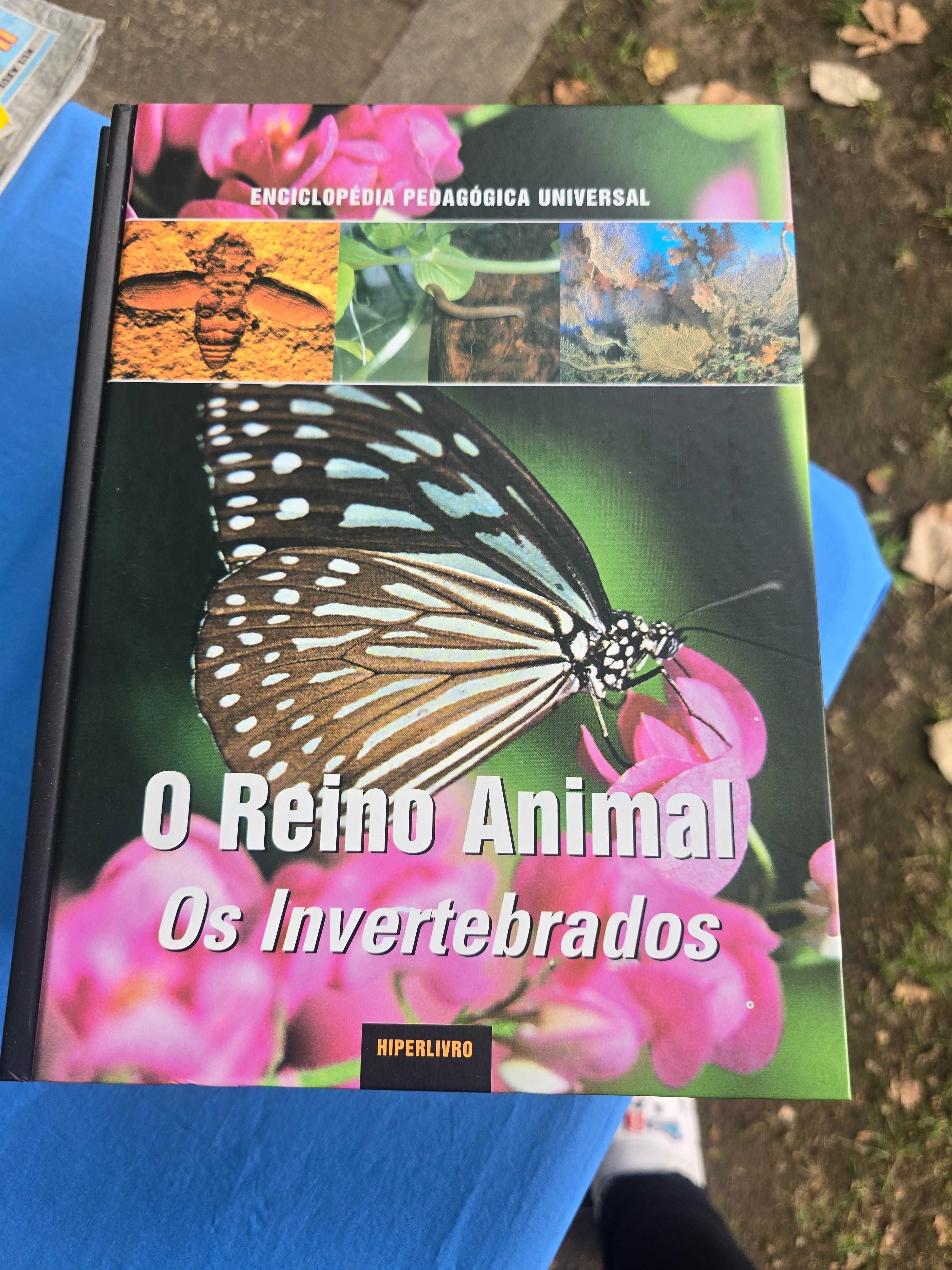 Enciclopedia pedagógica universal nova