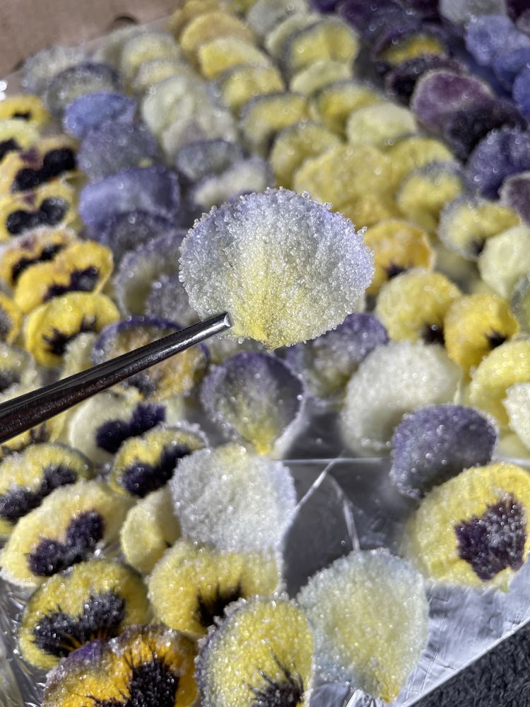 Кристалізовані пелюстки квіти прикраса десертів