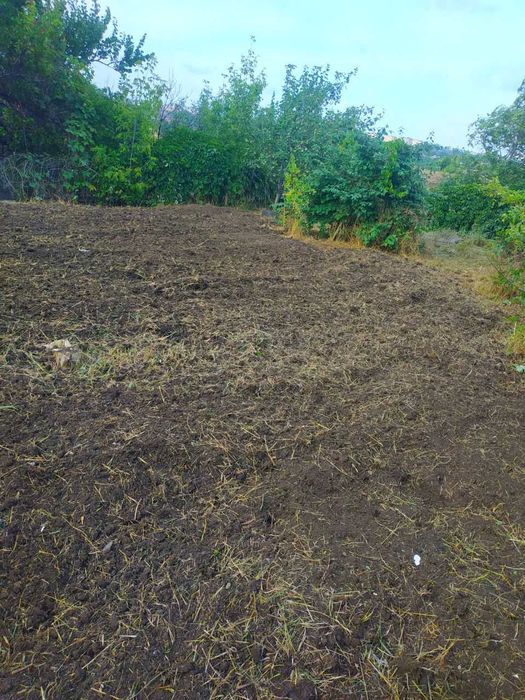 УБОРКА Территорий от 200 грн сотка СПИЛ ДЕРЕВЬЕВ, Расчистка участков