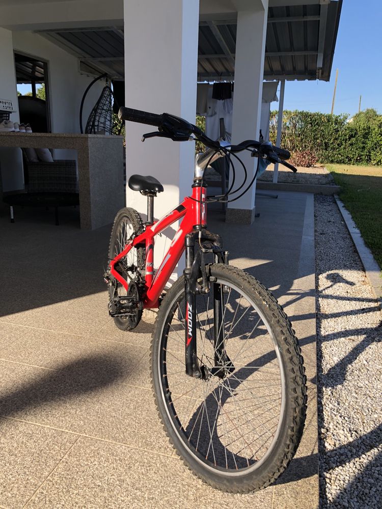 Bicicleta Jovem/Adulto