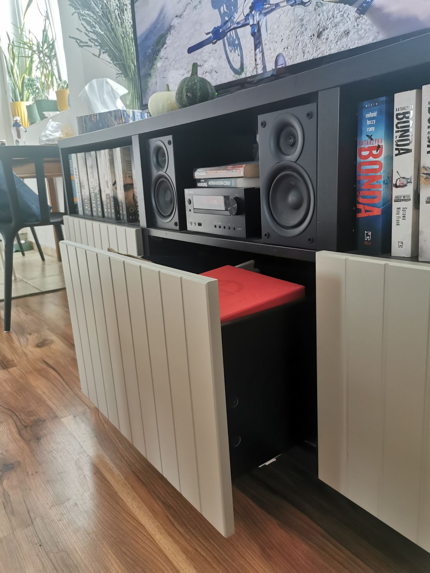 Szafka pod tv IKEA BESTA