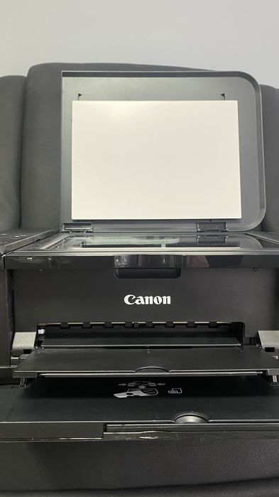 Принтер / сканер БФП Canon MG3650S