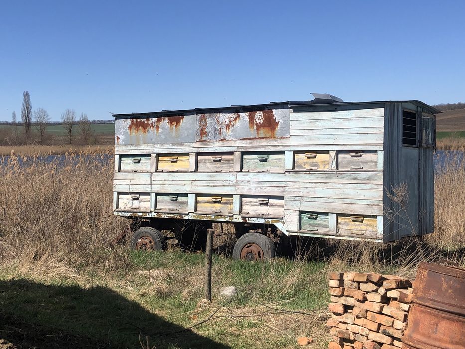 Продам пасіку кочеву