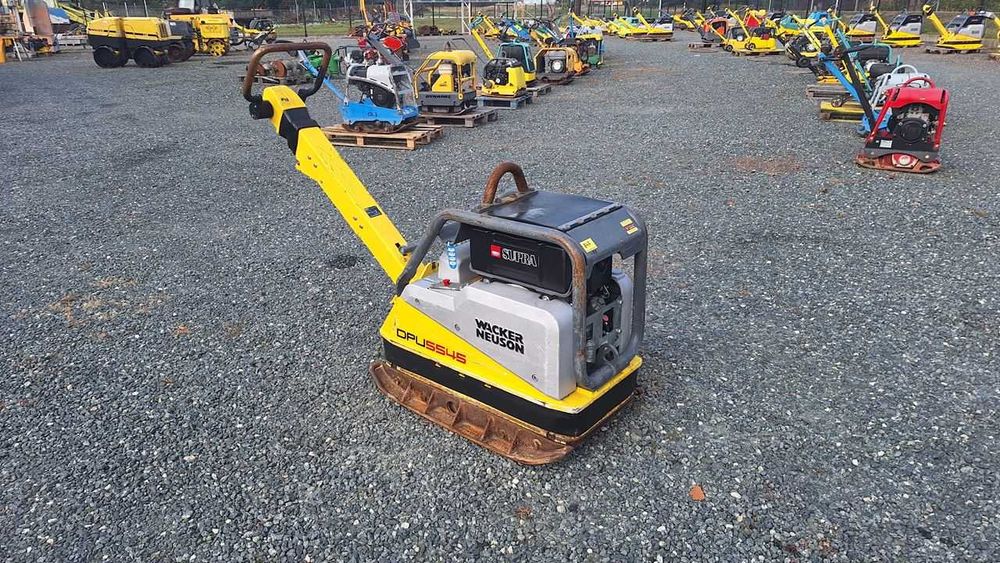 2019 Zagęszczarka Ubijak WACKER NEUSON DPU 5545 He 6555 Nr 890 wolf