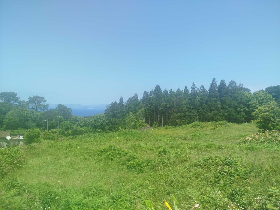 Terreno Pinheira - Rua da Bragada - Santo António