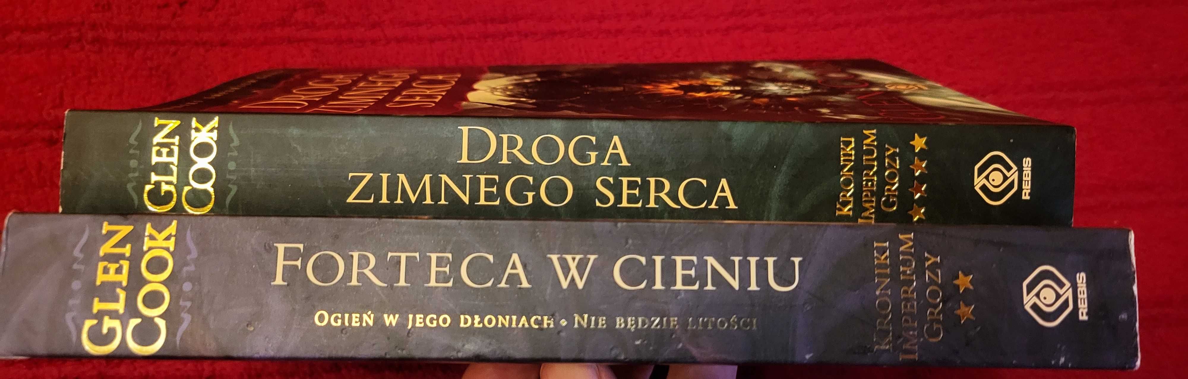 Droga zimnego serca Forteca w cieniu Glen Cook