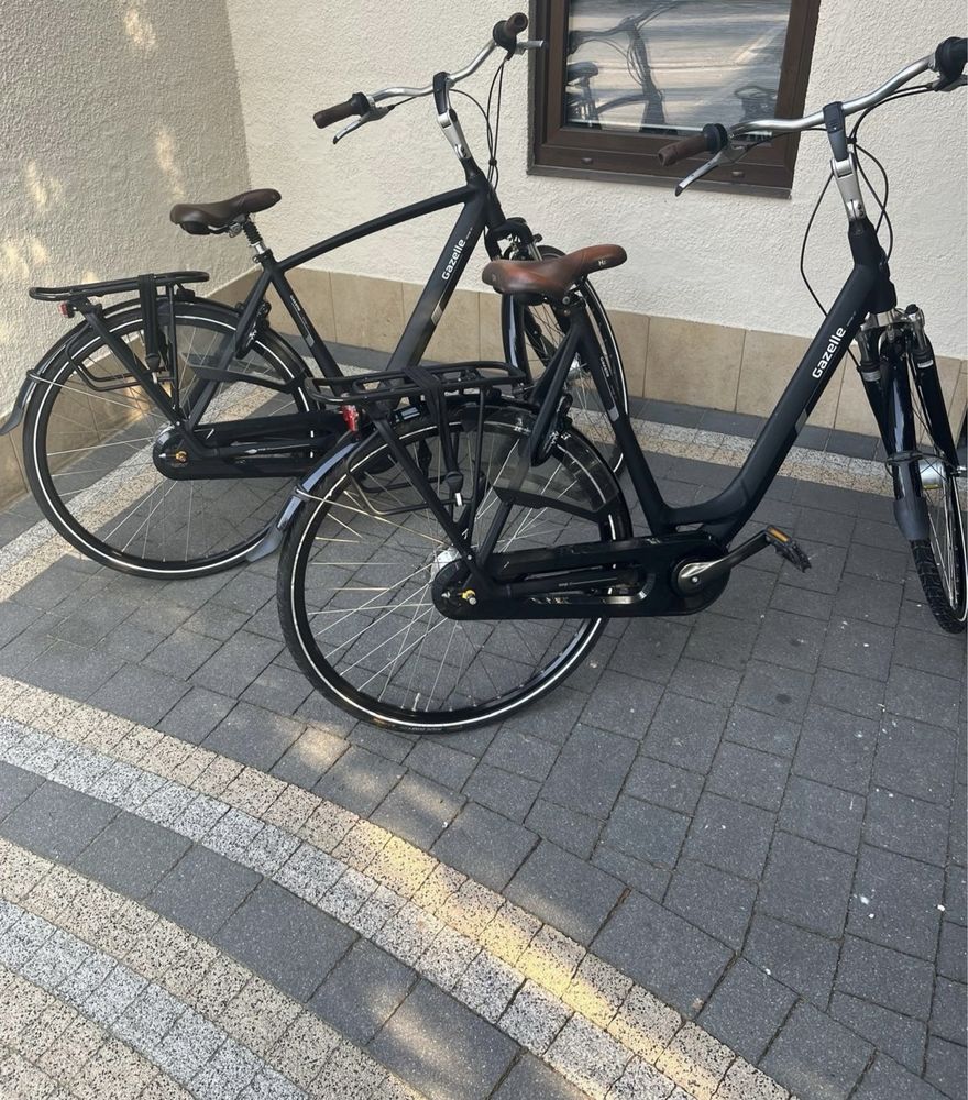 Gazelle Orange C7+