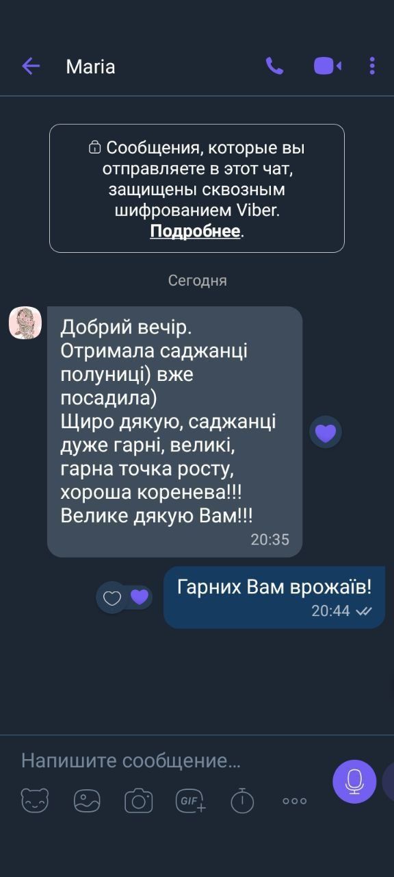 Саженцы клубники, малины, смородины — оптом и в розницу!