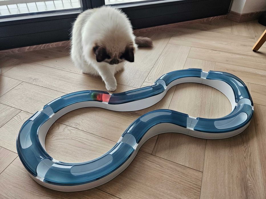 Zabawka edukacyjna interaktywna dla kota - Tor z kulką