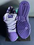 Nike dunk SB Purple Lobster