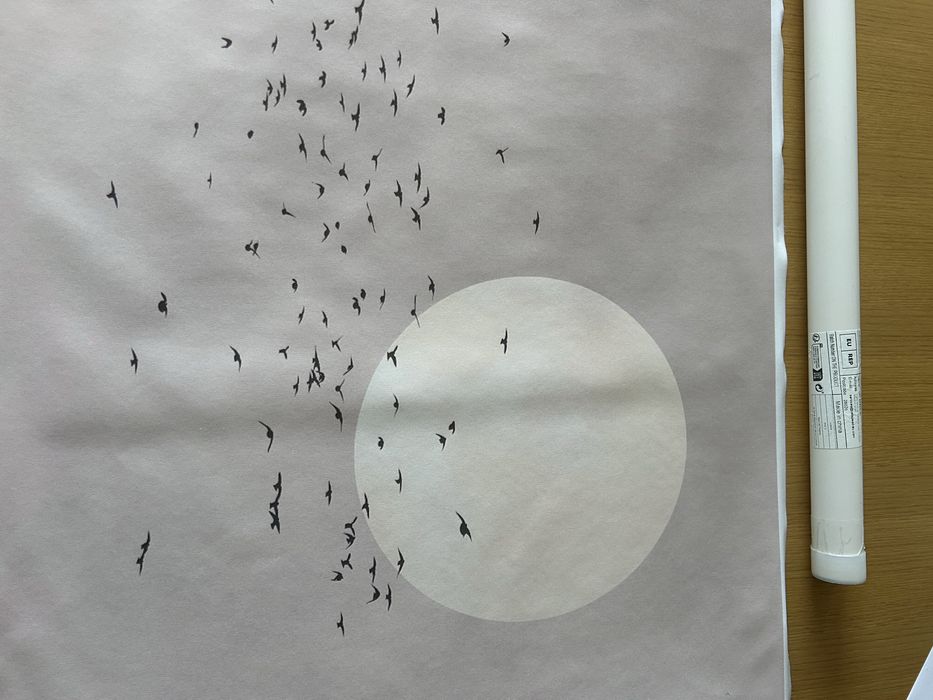 Posteres/ quadros  100x70