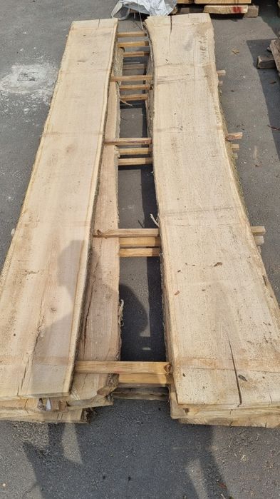 Дошка Берест, Вяз суха 50мм