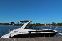 Sprzedam łódź motorową Bayliner C8 (2022) - nowa cena!