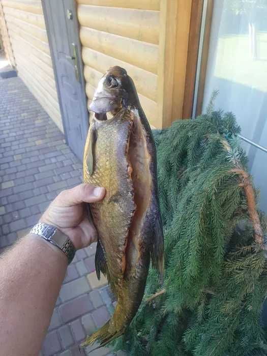 Таранка, Копчення Риби, М'яса, Тарань, Скумбрія Хол. Гарячого копчення