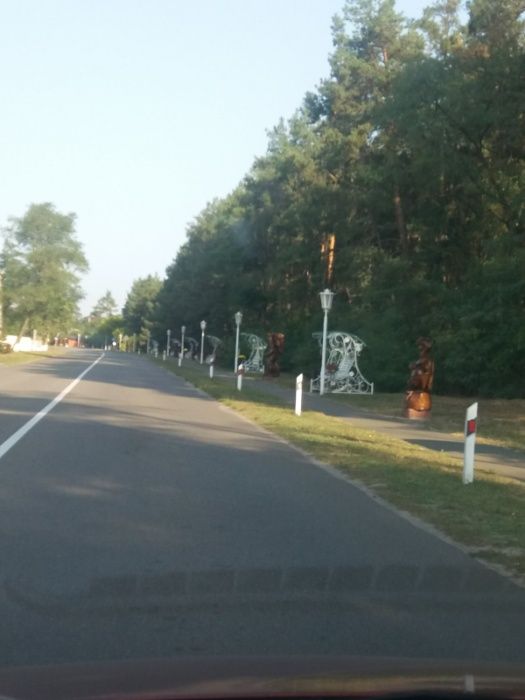 Земельна ділянка 16 соток в лісі с. Проців під будівництво