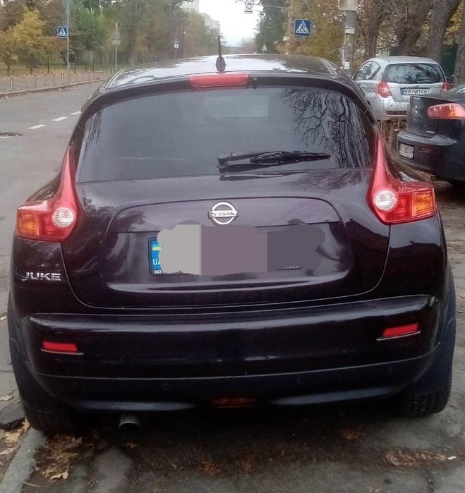 Водій зі своїм авто Ніссан Жук