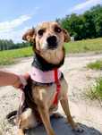 Alinka gorąco poleca się do adopcji:)