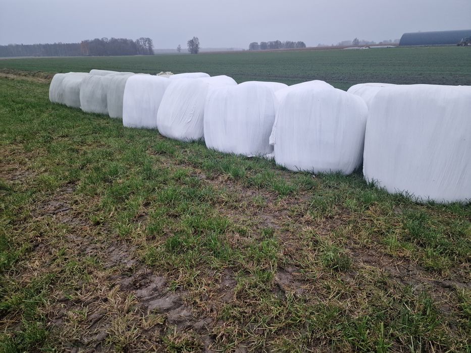 Sianokiszonka 2 pokos