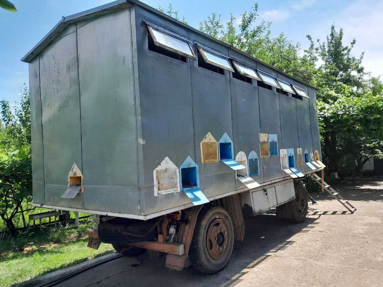 Продам пасіку з бджолами та інвентарем все під ключ