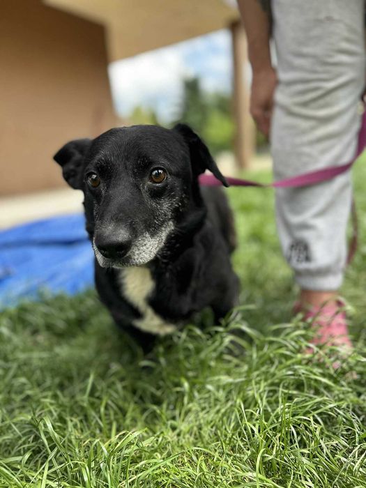 Lesko szuka kąta dla siebie