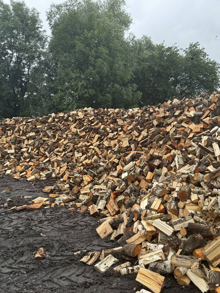 Drzewo drewno opałowe Żagań Żary Lubsko Gubin