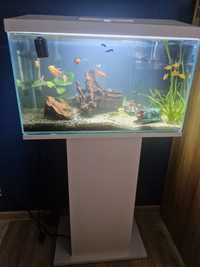 Akwarium Aquael +szafka+cale wyposazenie+rybki