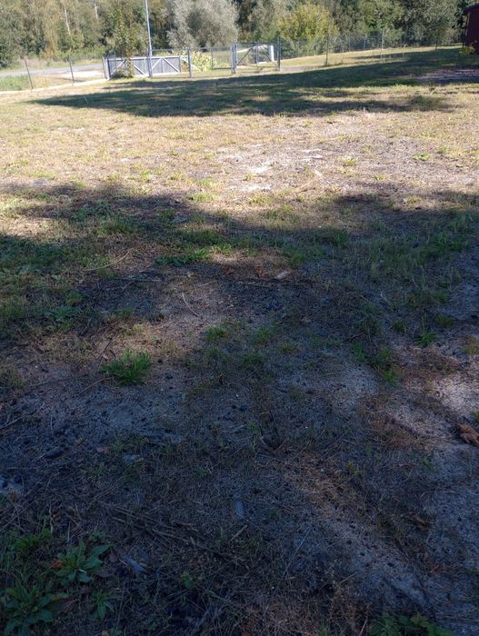 Rybnik- teren do wynajęcia 1700m2/ 850m2