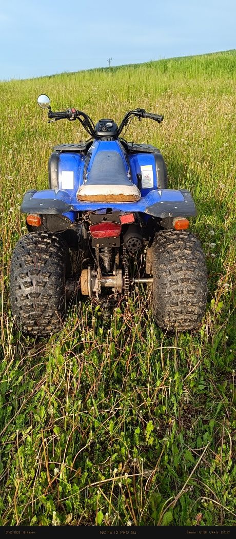 Quad aeon cobra 180