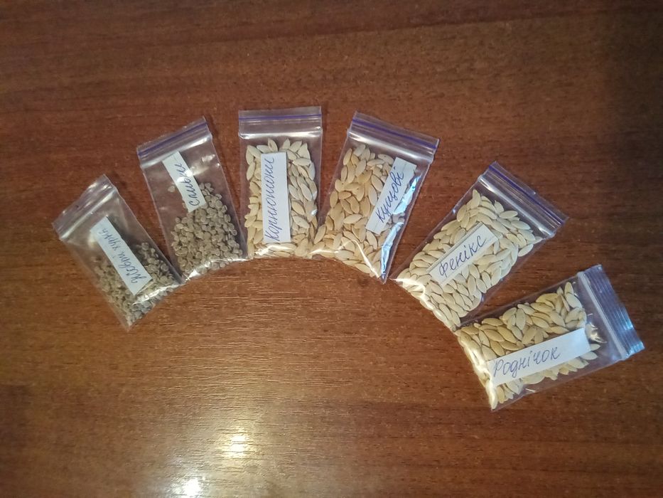 Лот семян огурцов