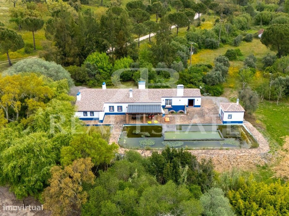 Propriedade no Alentejo | Montemor-o-Novo | A uma hora de Lisboa