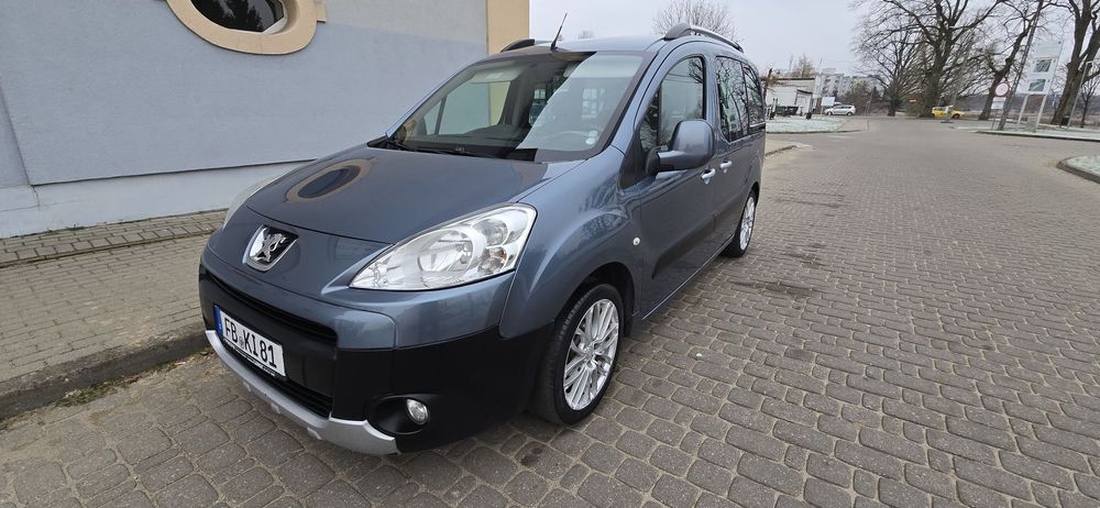 Dacia Dokker Van KLIMA*nawi*elektryka