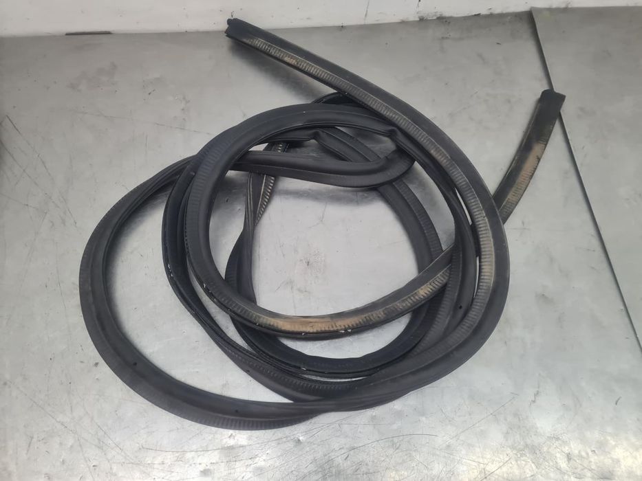 Borracha genérica RENAULT Trafic III (FG_)