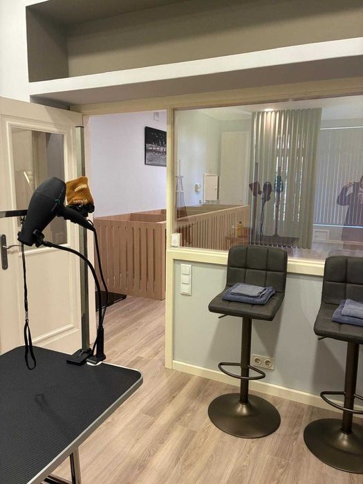 Banhos e Tosquias - Venda de empresa