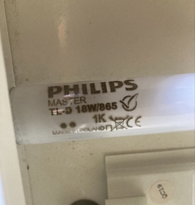 świetlówki Philips Master TL-D 18 W/865 1K