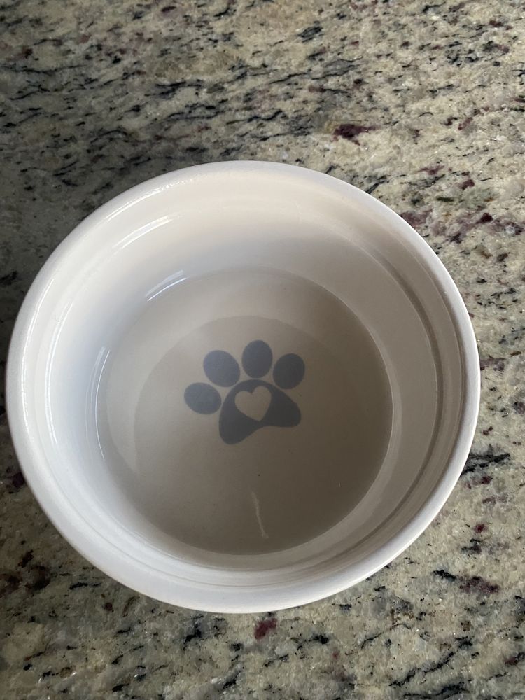 Miska dla psa gruba ceramiczna