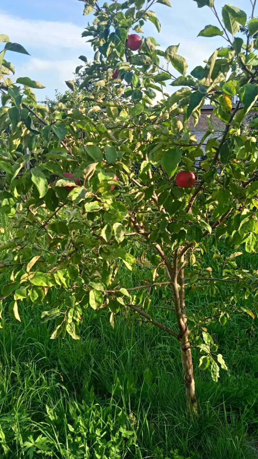 ЗНИЖЕННЯ ЦІНИ!!! Продам незавершене будівництво!