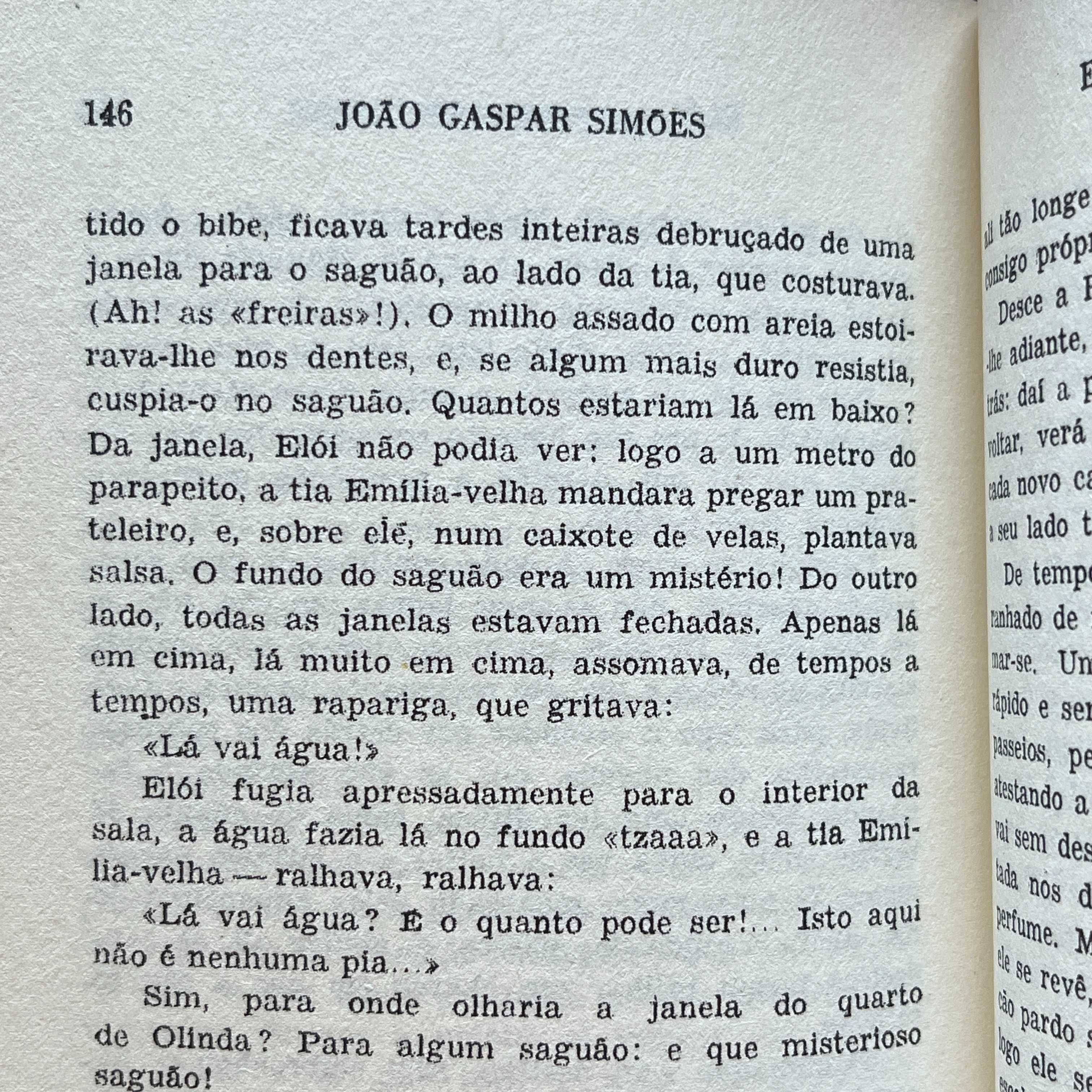 João Gaspar Simões - Elói ou Romance numa Cabeça