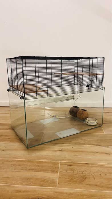 Terarium dla szynszyla lub szczura