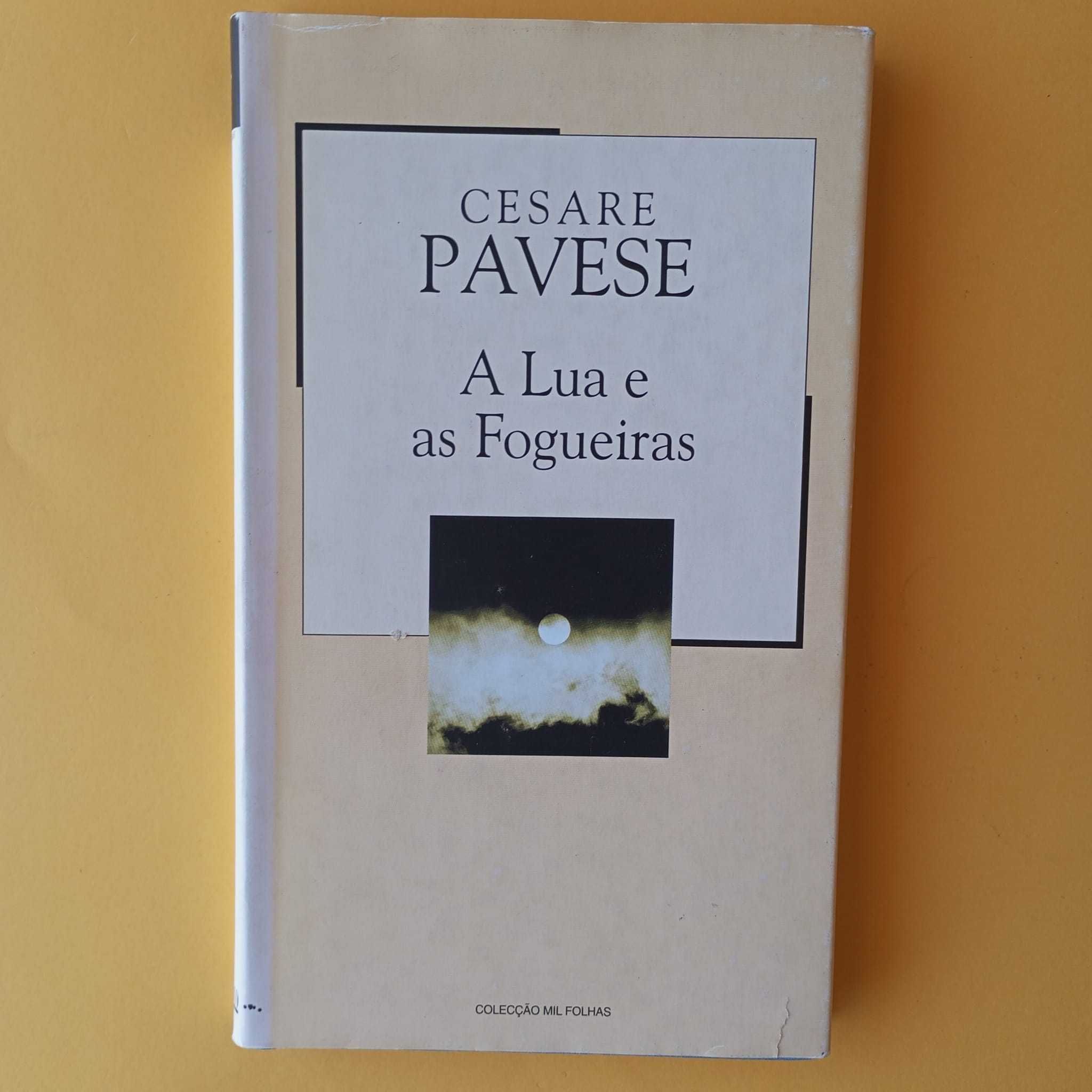 Coleção de Livros Mistos - Autores Variados - Conjunto 25