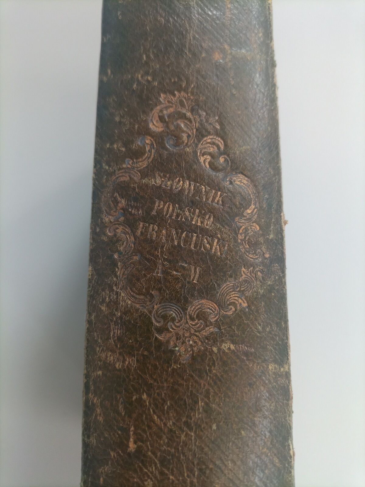 Słownik polsko-francuski A-M Berlin 1845