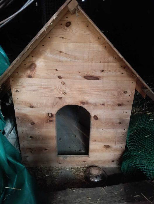 Sprzedam nową budę dla psa