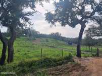 TERRENO Rústico (1,35ha)