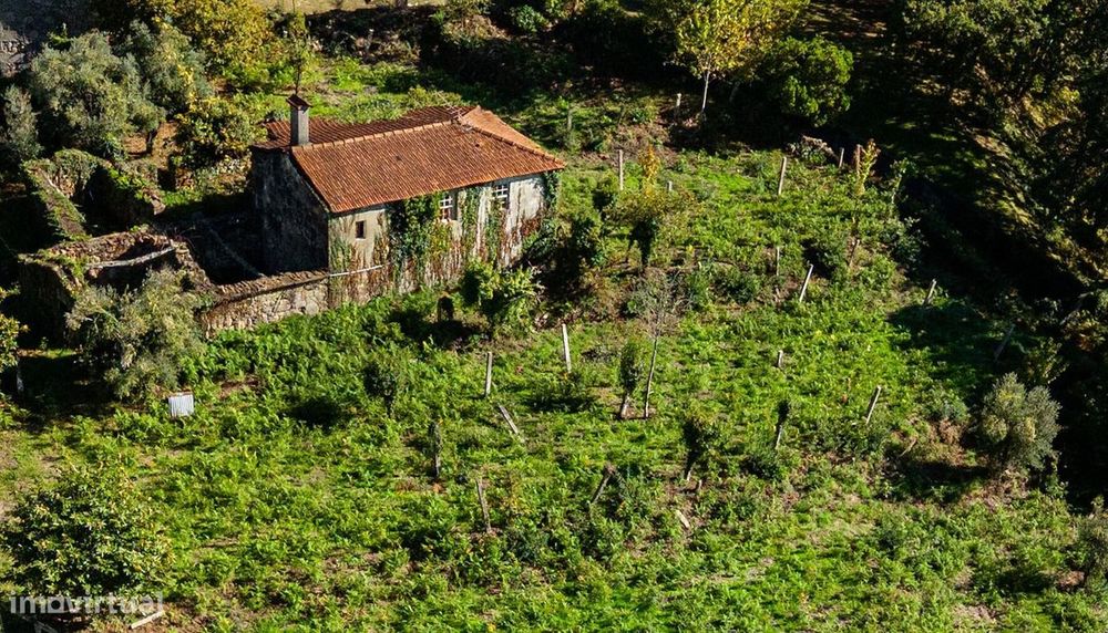 Quinta centenária em Real, Covas