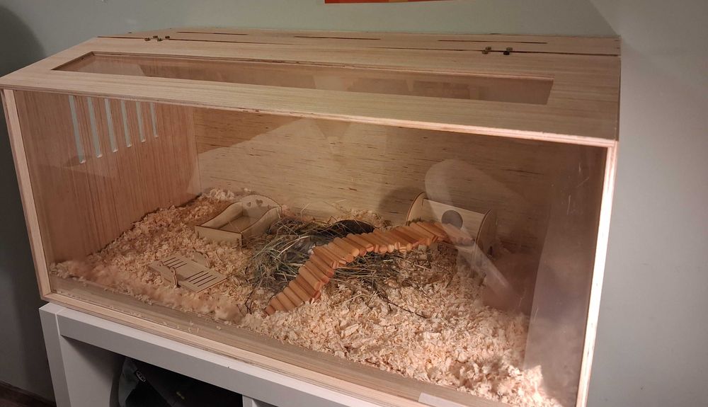 Klatka dla chomika - drewniana,nowa z wyposażeniem