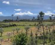 Quinta na Serra da Estrela