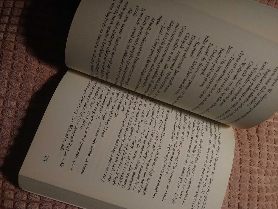 Książka Miasto kości