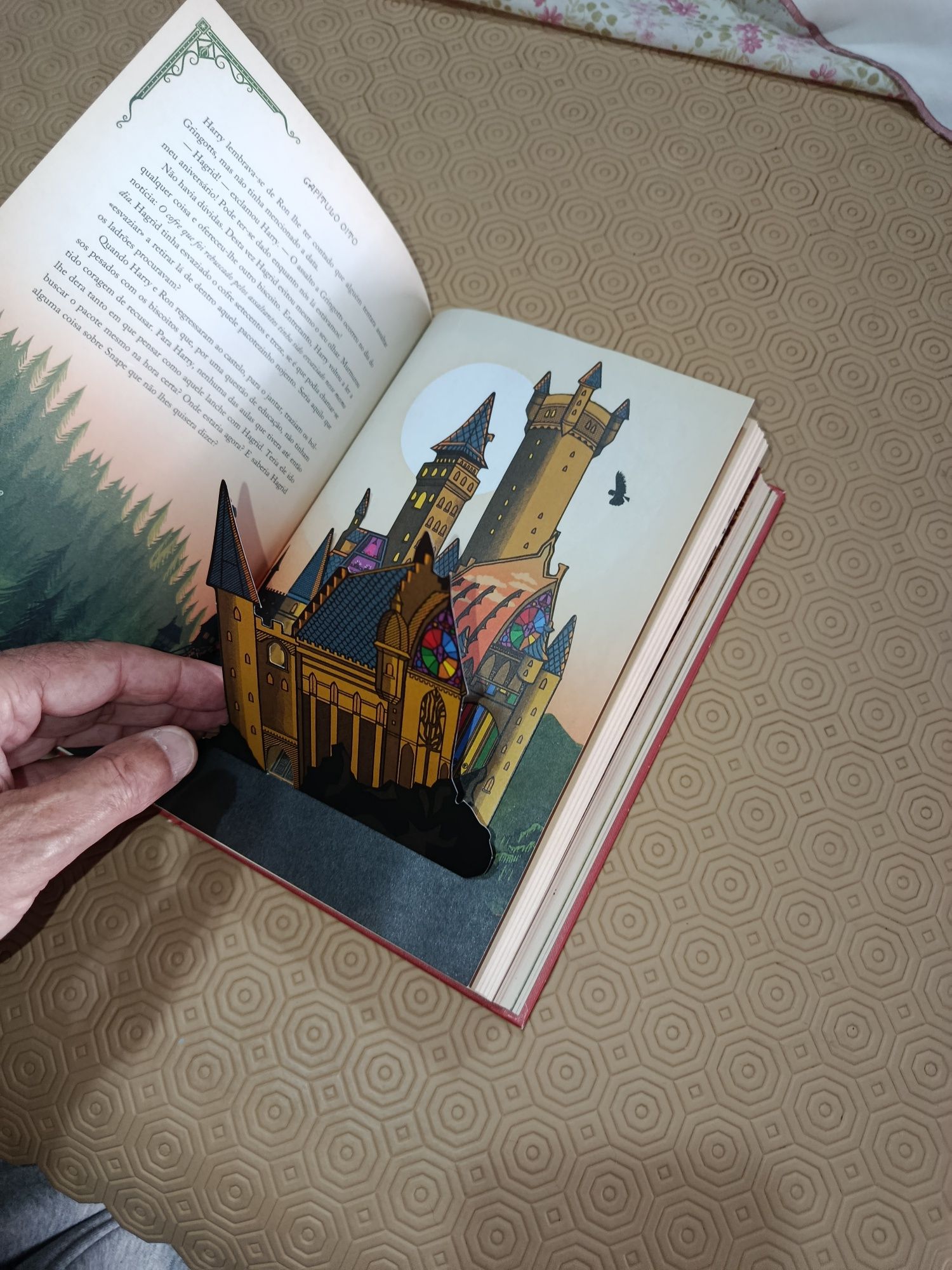 Harry Potter volume 1 e 2