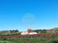 Terreno  para venda
