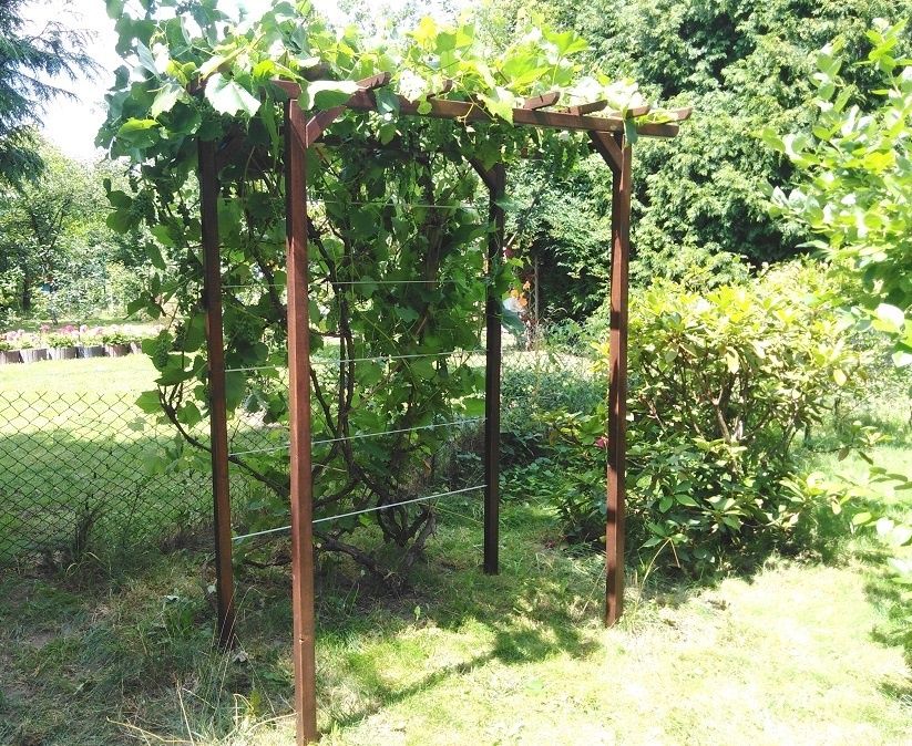 Pergola dla winogron drewniana 180 x 120 x 185 x 4,5 Wood-system