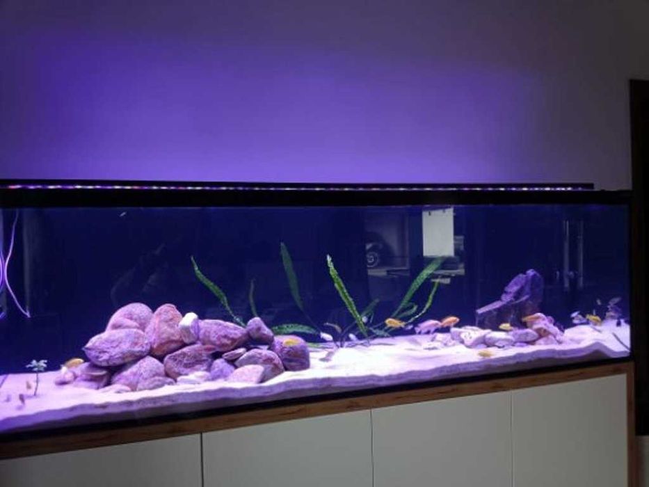 Oświetlenie do akwarium POWER LED ! BELKA LED !